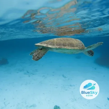 Bonaire