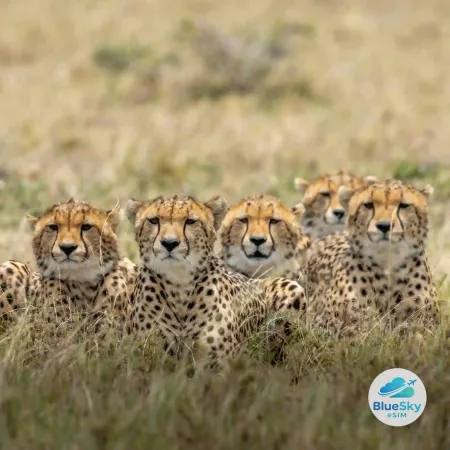 Kenya