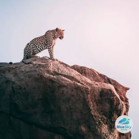 África do Sul
